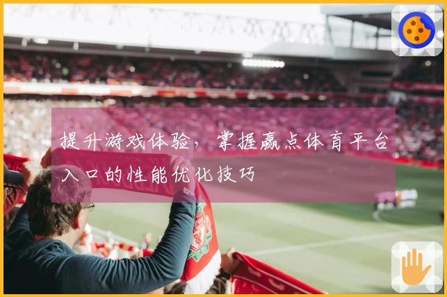 提升游戏体验，掌握赢点体育平台入口的性能优化技巧